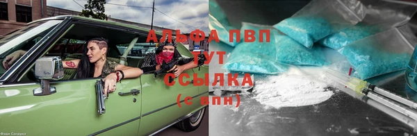 стаф Алексеевка