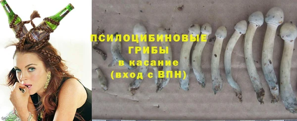 не бодяженный Алзамай