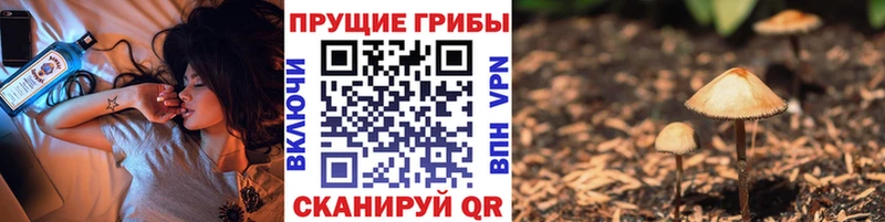 мориарти какой сайт Морозовск Псилоцибиновые грибы ЛСД
