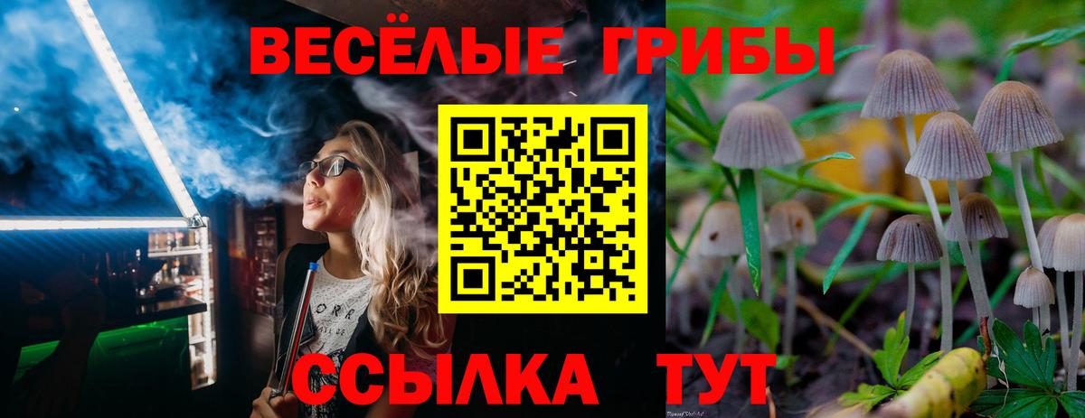 Морозовск  Псилоцибиновые грибы MAGIC MUSHROOMS  Вход с VPN 